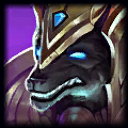 Nasus champion
